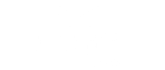 avir enterprises